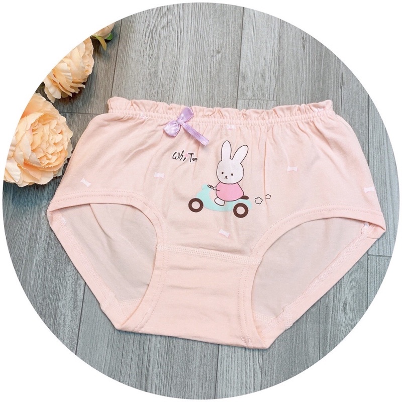 Set 10 Quần lót bé gái chất cotton xịn, quần chíp trẻ em