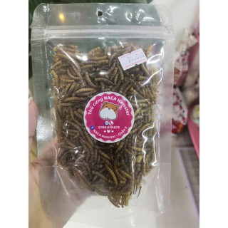 Sâu gạo & Sâu trung rang