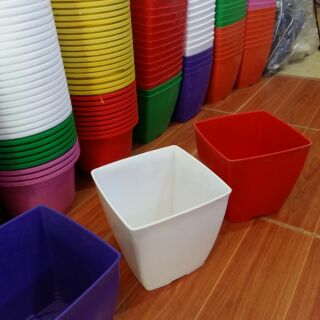 10 chậu vuông cỡ to 16cm