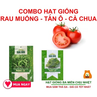 Combo 3 Gói Hạt Giống Rau Muống Lá Tre, Hạt Tần Ô, Hạt Cà Chua Quả To