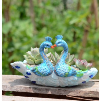 Chậu trồng cây mini hình chim công