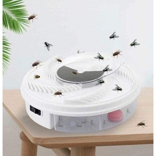 Máy bắt ruồi tự động siêu hiệu quả