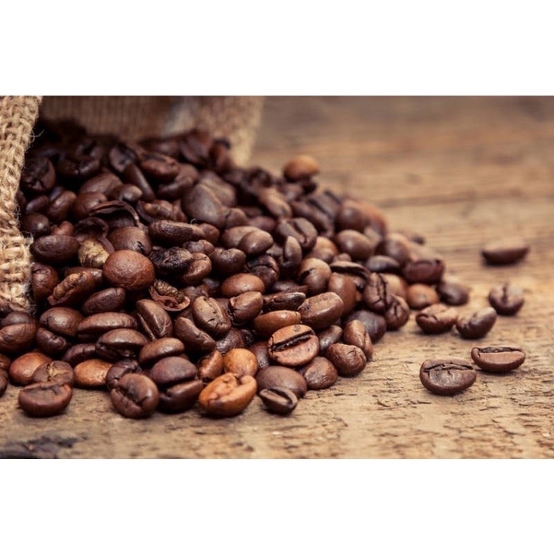 Túi thơm hạt cà phê treo xe ô tô ,tủ quần áo ,tủ lạnh ,phòng khách, phòng bếp khử mùi ẩm mốc siêu tốt