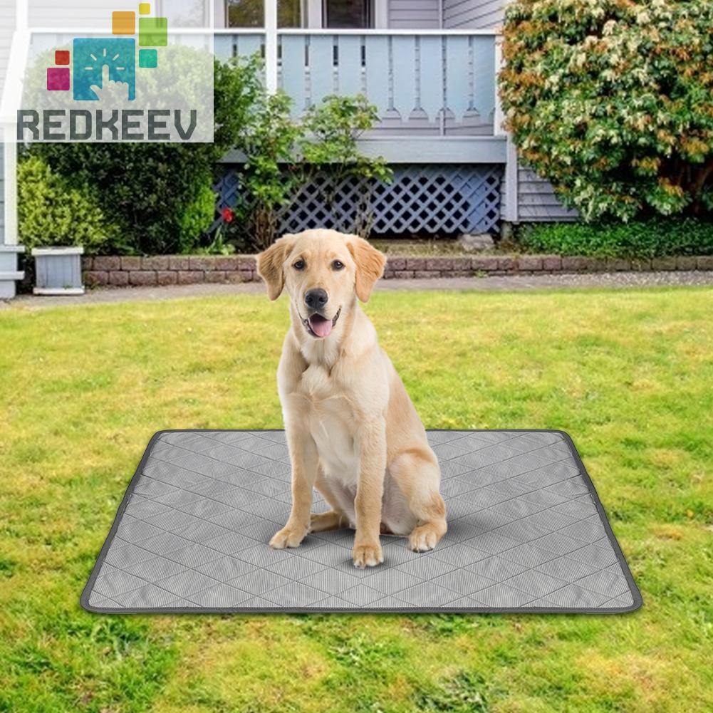 Tã Lót Thấm Hút Tốt Có Thể Giặt Sạch Tiện Dụng Cho Thú Cưng