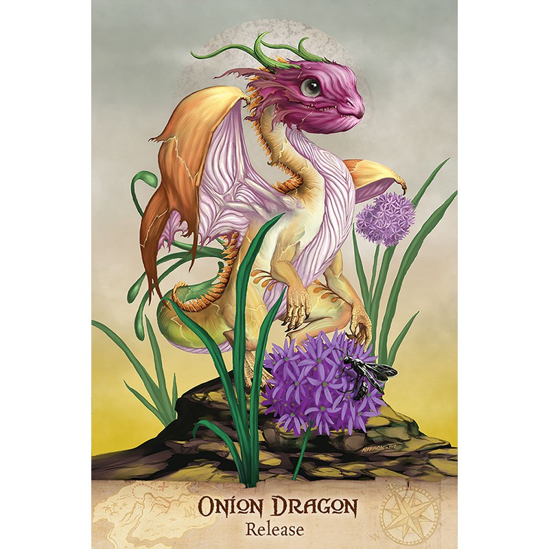 Bộ Bài Field Guide To Garden Dragons (Mystic House Tarot Shop)