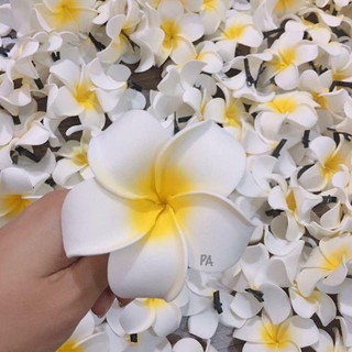 Hoa Đại Cài Tóc- hàng đẹp
