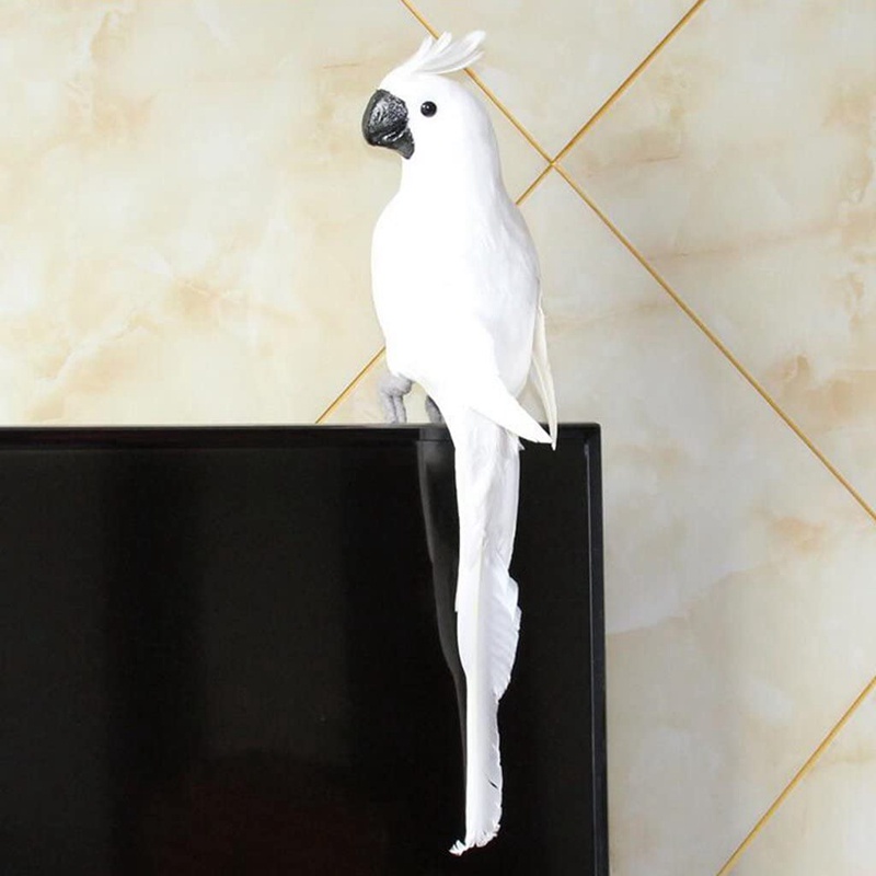 Mô Hình Chim Vẹt Giả Bằng Lông Vũ 35CM Trang Trí Sân Vườn