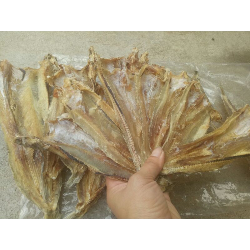 Khô cá mối, cá thửng không tẩm gia vị phơi khô thủ công - chuẩn cá mối biển 100% Nghệ An