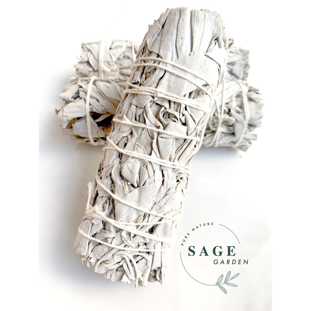 XÔ THƠM TRẮNG (White Sage)_Size S-M-L_SAGE GARDEN