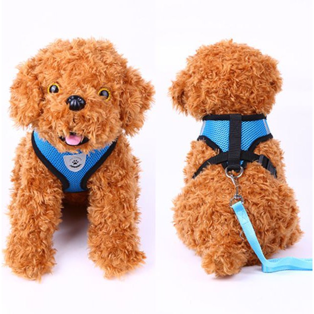 [Mã PET50K giảm Giảm 10% - Tối đa 50K đơn từ 250K] Yếm dắt chó đi dạo có dây lưới mềm mại kèm dây
