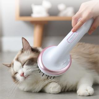 Lược Sấy Khô Tóc Mát Xa Cho Thú Cưng