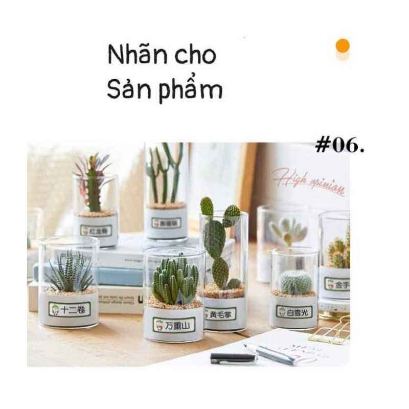 MÁY IN TEM D11 | BigBuy360 - bigbuy360.vn