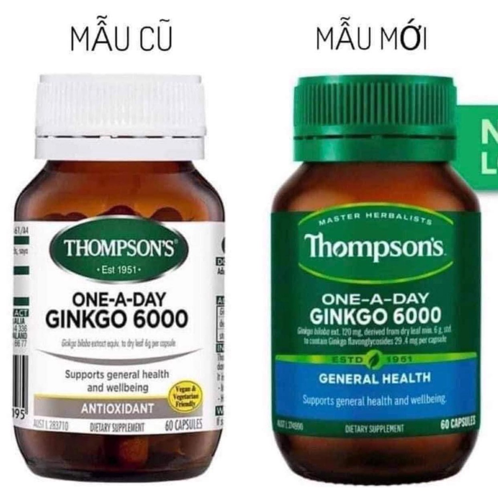 Bô não tăng cường trí nhớ Ginkgo Biloba 6000mg Thompson's