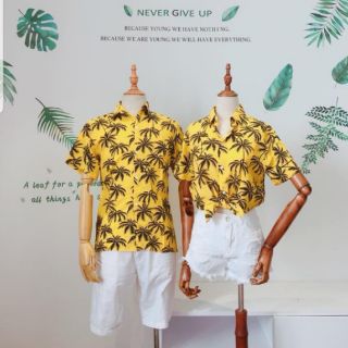 Combo áo sơ mi trái cây khách đặt