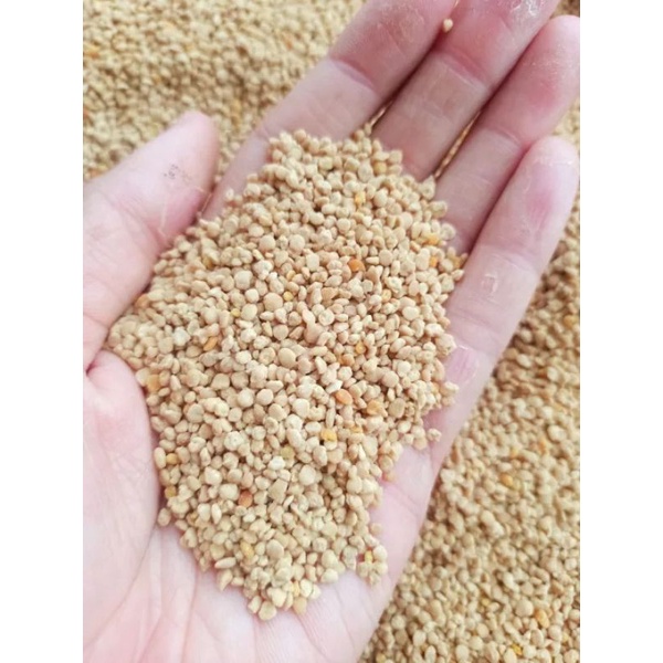 Phấn hoa mật ong hoa cà phê