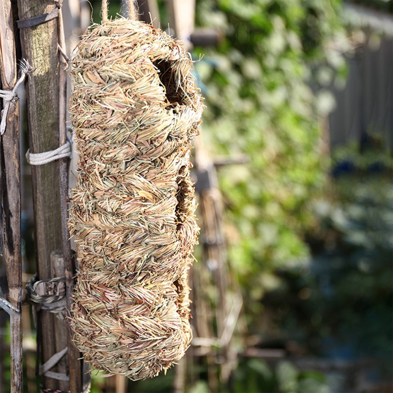 Tổ chim đan rơm 3 lỗ thoải mái tiện dụng