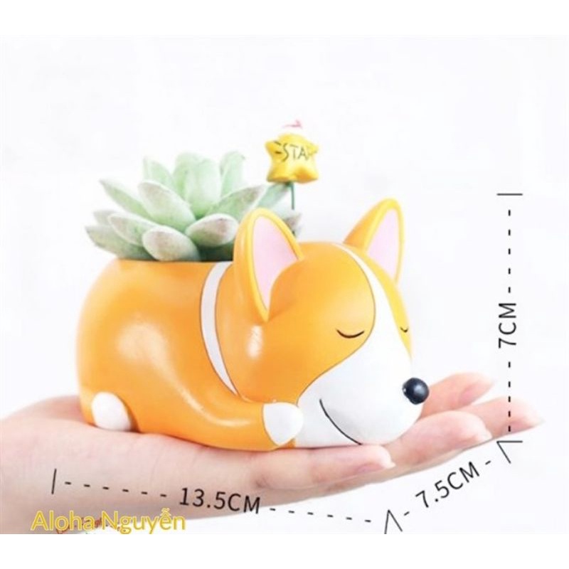 Chậu cây để bàn hình chú chó Corgi