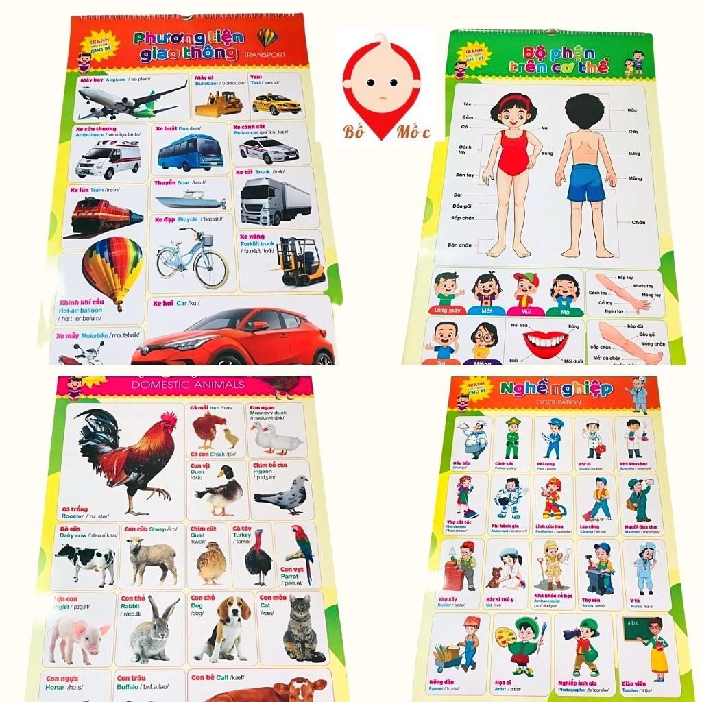 Bộ Tranh Treo Tường Chủ Đề Sống Động Giúp Con Phát Triển Tư Duy Sáng Tạo, Thông Minh - Shop Bố Mốc