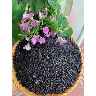 Gạo lứt đen dẻo