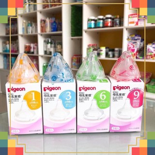 Núm ti Pigeon nội địa Nhật