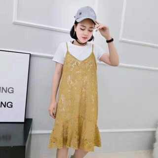 Set váy ren Hàn Quốc