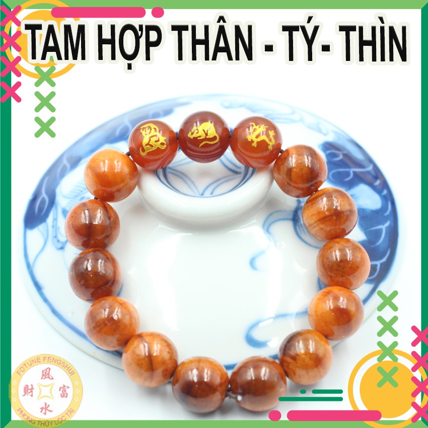 Vòng tam hợp HL Thân- Tý- Thìn