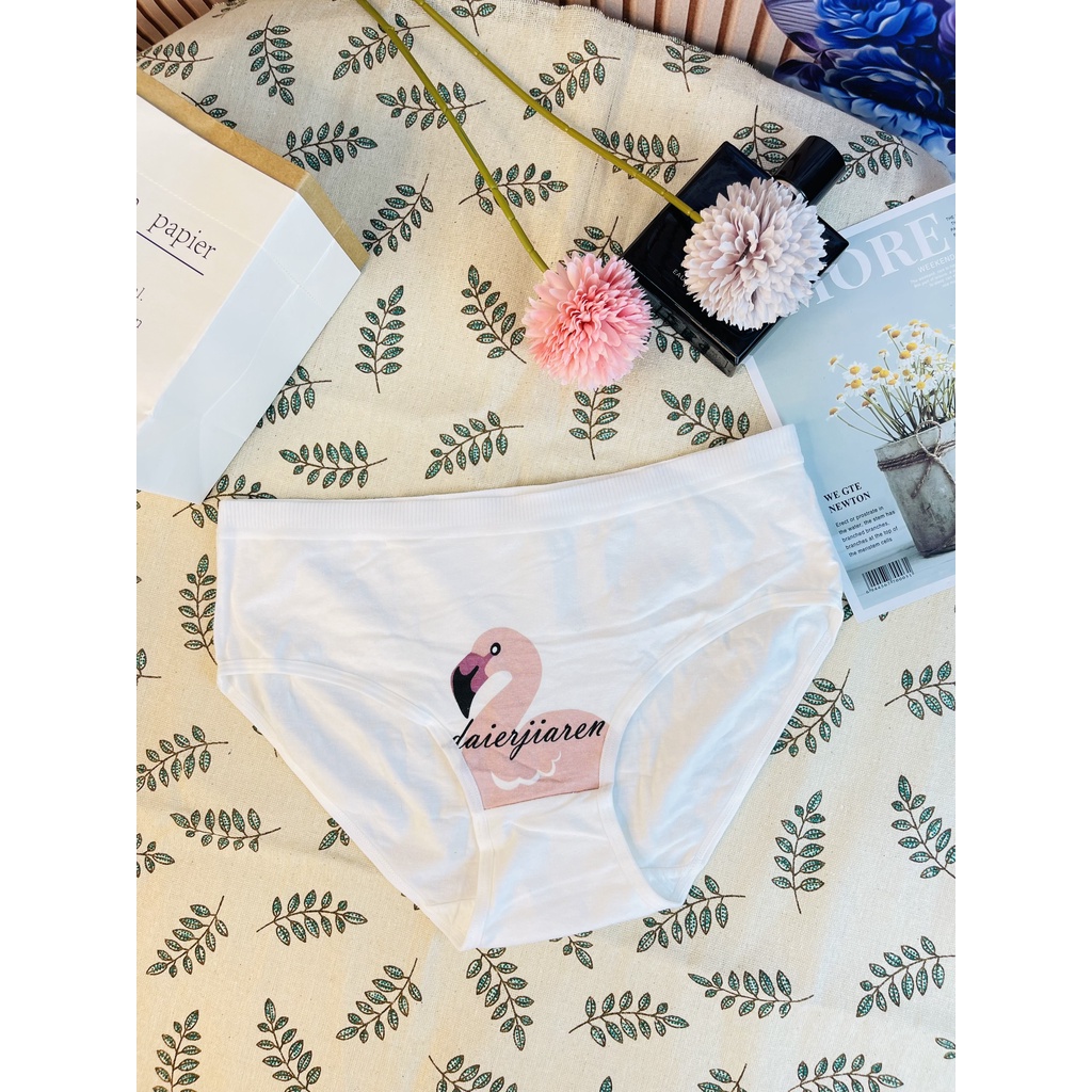 Quần lót nữ cotton thông hơi nâng mông, co giãn đa dạng mẫu mã - Hàng Quảng Châu Cao Cấp