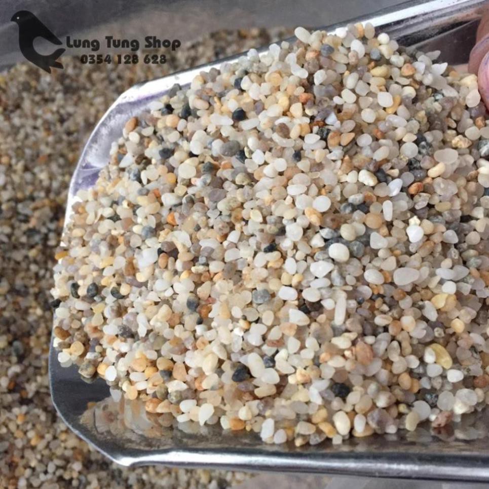 1 kg Sỏi suối nhỏ trải nền hồ cá thủy sinh