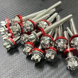 PHÚC SALAYA - CHUYÊN ỐC KIỂU