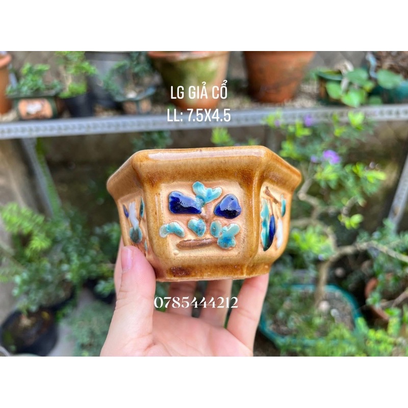 Sỉ 10 chậu gốm Lục giác thấp kt 7x4,5cm