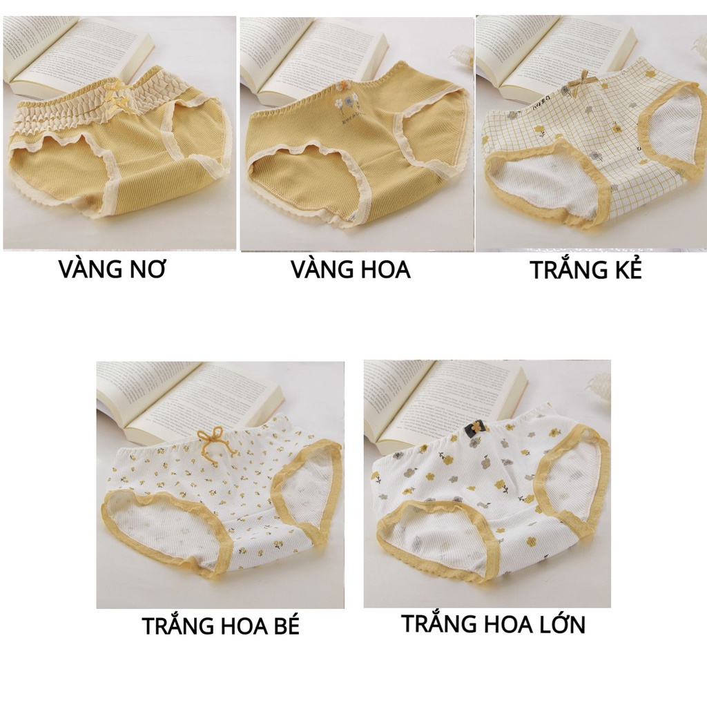 QUẦN LÓT NỮ ❤️FREESHIP❤️Quần lót cotton gân tăm cao cấp set tông vàng dễ thương mẫu 1315