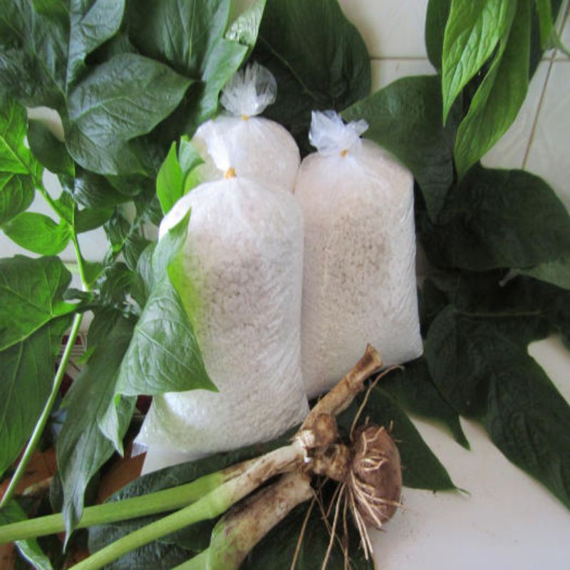 Bột nưa nguyên chất 1000%