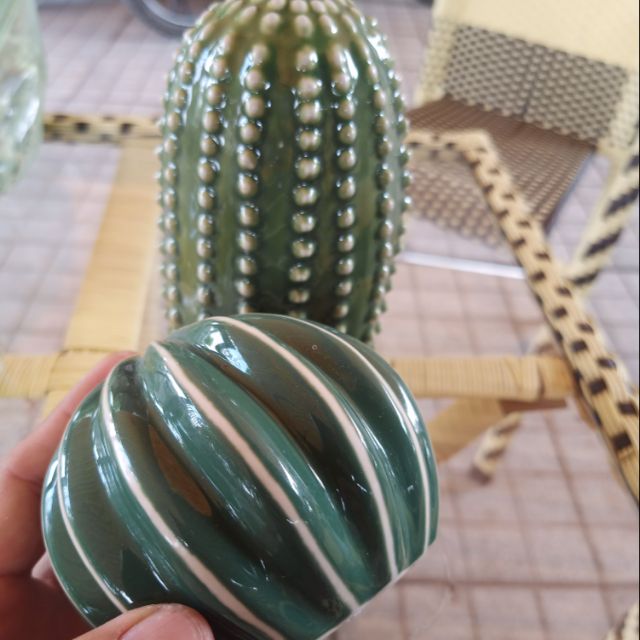 Combo 2 xương rồng sứ