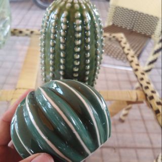 Combo 2 xương rồng sứ