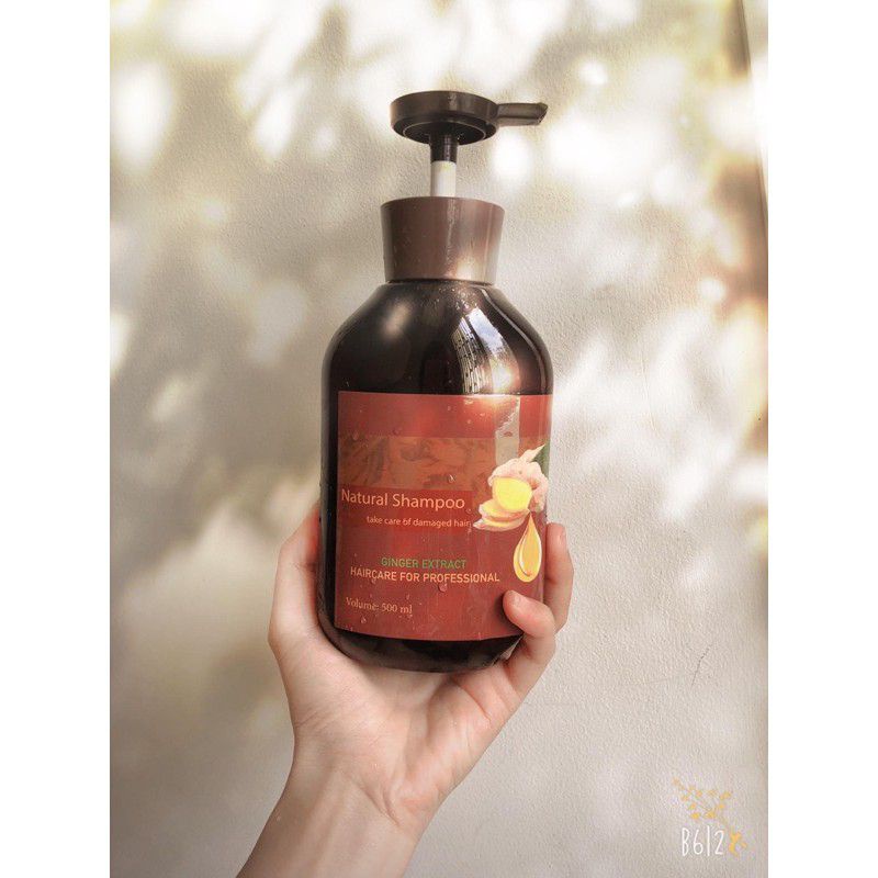 Dầu Gội Chữa Rụng Tóc Natural Shampoo
