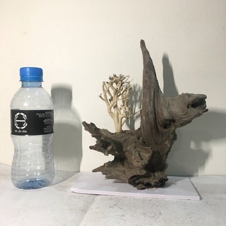 Lũa Bonsai trang trí bể thủy sinh, bể cá dành cho bể nhỏ và vừa