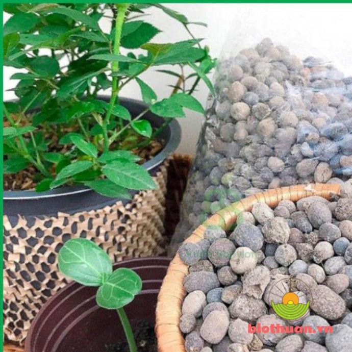 Phân Dê Đã Xử Lý Làm Phân Bón Lan Và Phân Bón Cây Trồng 400g