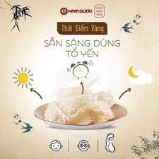 Yến Sào Nam Dược - Yến Chưng đường phèn - Yến Chưng Đông Trùng hồng sâm