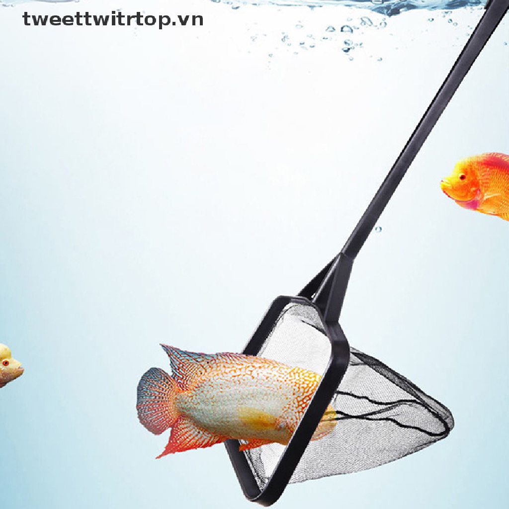 Vợt Lưới Vớt Lá / Rác Vệ Sinh Bể bơi Ngoài Trời