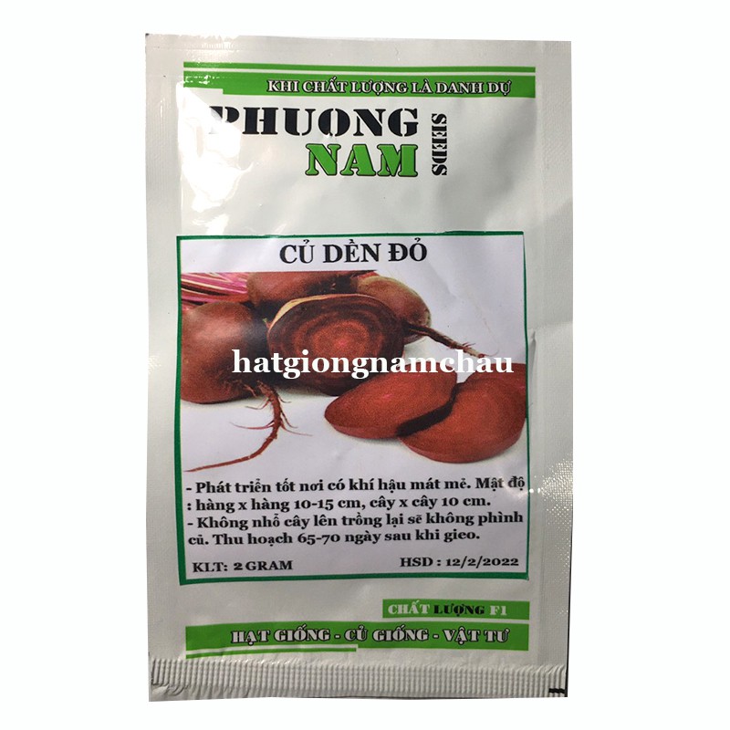 5GR - HẠT GIỐNG CỦ DỀN ĐỎ