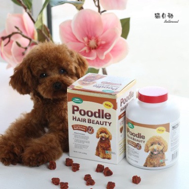 Viên Poodle Hair Beauty dưỡng mượt lông , giữ màu, phục hồi màu lông  cho chó