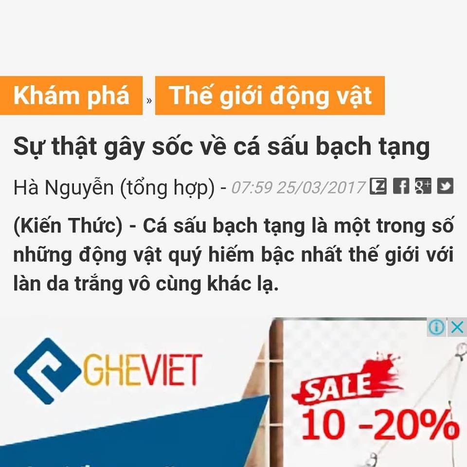 áo thun lacoste áo phông cá sấu chính hãng real authentic nam nữ unisex