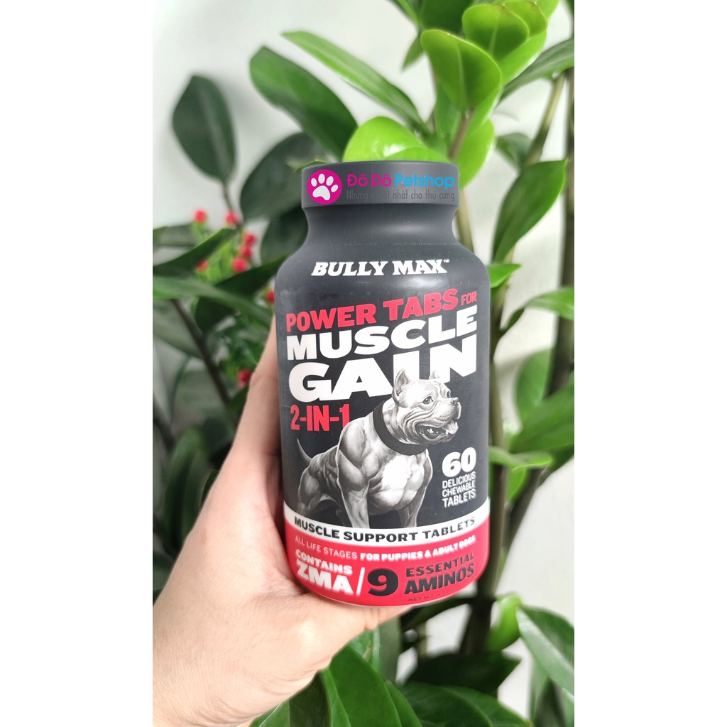 Bully Max - Sản phẩm tăng cơ bắp cho chó