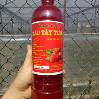 Combo 10 chai nước cốt dâu tây cho khách
