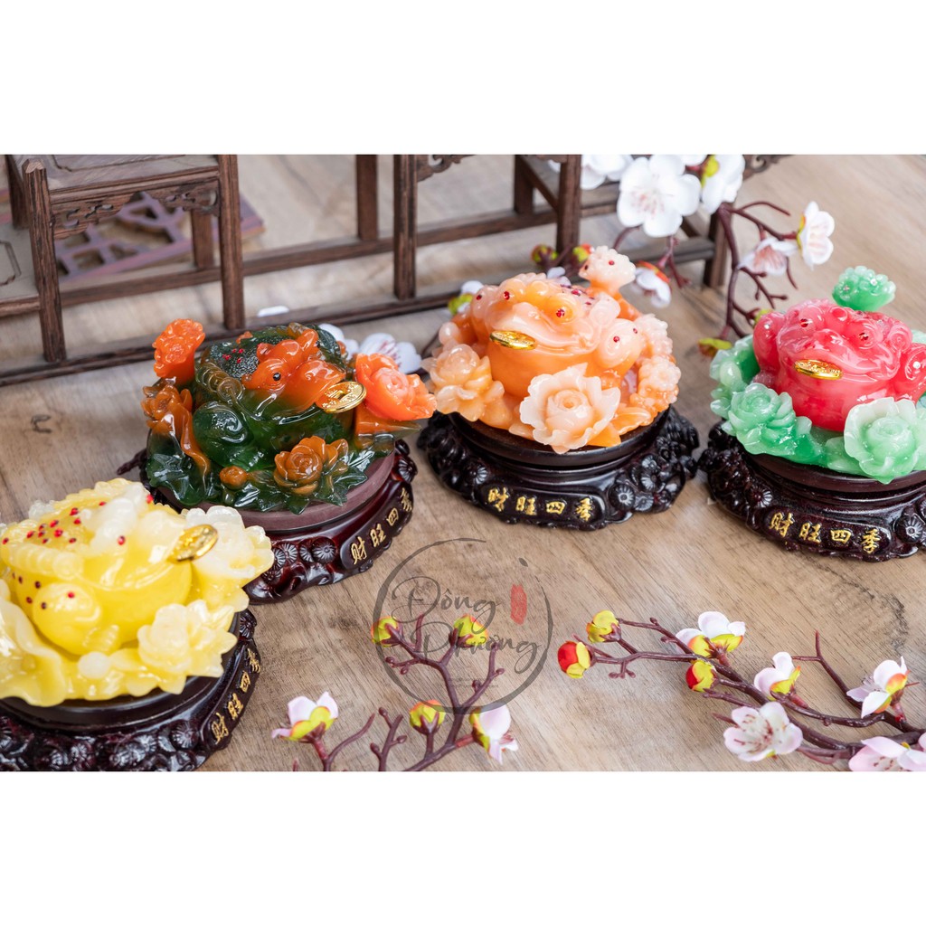 Cóc Ngậm Tiền - Cóc Thiềm Thừ Phong Thuỷ Hút Tài Lộc cao cấp size 12cm