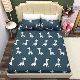Set Ga-Vỏ gối cotton 100%