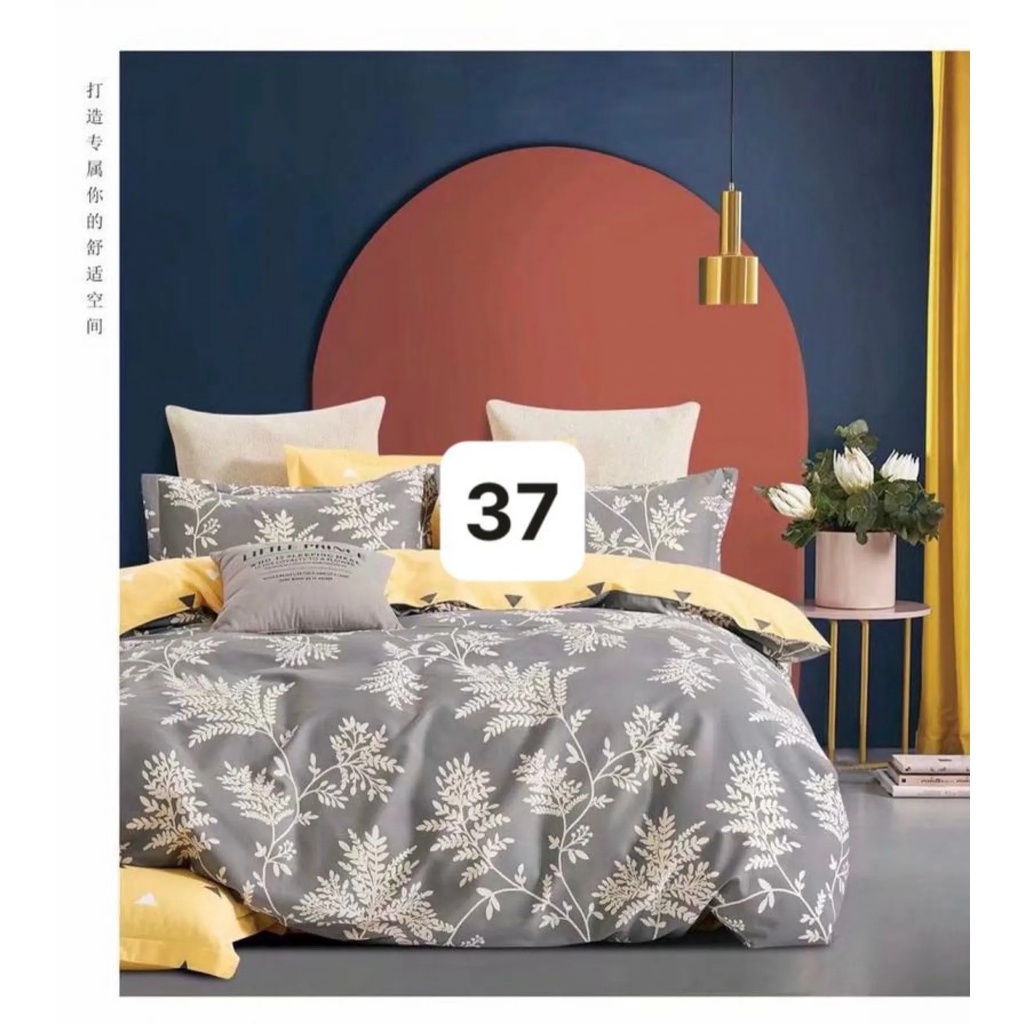 Drap Cotton TATANA - Thoáng mát - 100% Cotton