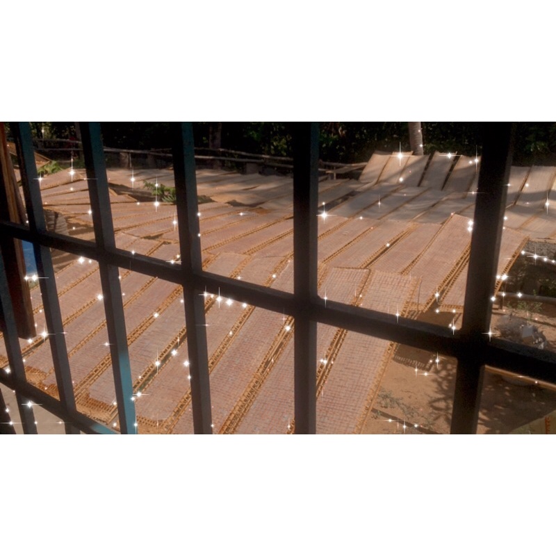 BÁNH TRÁNG CUỐN TUY HÒA  40 CÁI/1KG