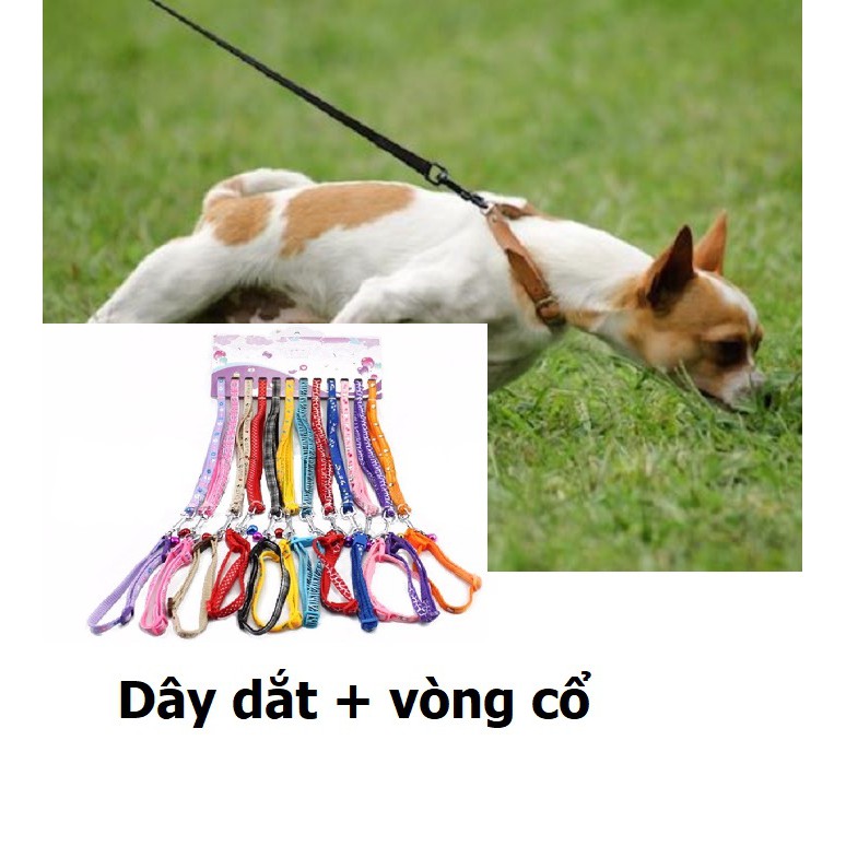 HCM-SP280 - Dây dắt  vòng cổ (chó 5-7kg) dây dắt chó kèm vòng cổ màu x ngẫu nhiên