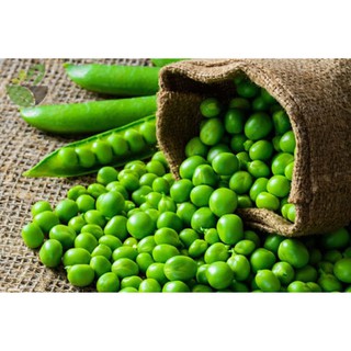 20g Hạt giống Đậu Hà Lan (Lấy Hạt)   